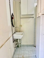 Hdb Hub (D12), Shop House #613320991